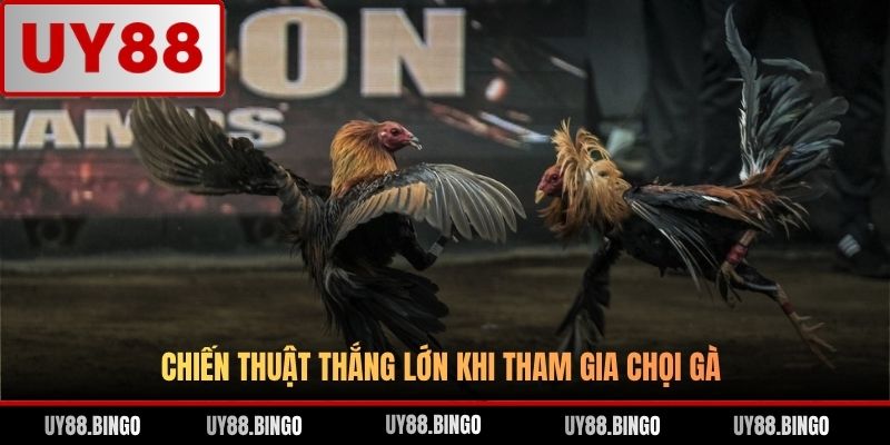 Đá Gà UY88 - Trải Nghiệm Cá Cược Gà Chọi Đỉnh Cao Top 1 ĐNA - ro77.pw