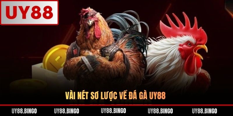 Đá Gà UY88 - Trải Nghiệm Cá Cược Gà Chọi Đỉnh Cao Top 1 ĐNA - ro77.pw